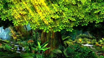 大树爆料视频大全下载 第3张 大树爆料视频大全下载 第3张